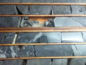 Photo courtesy of DGI Geosciences Inc
